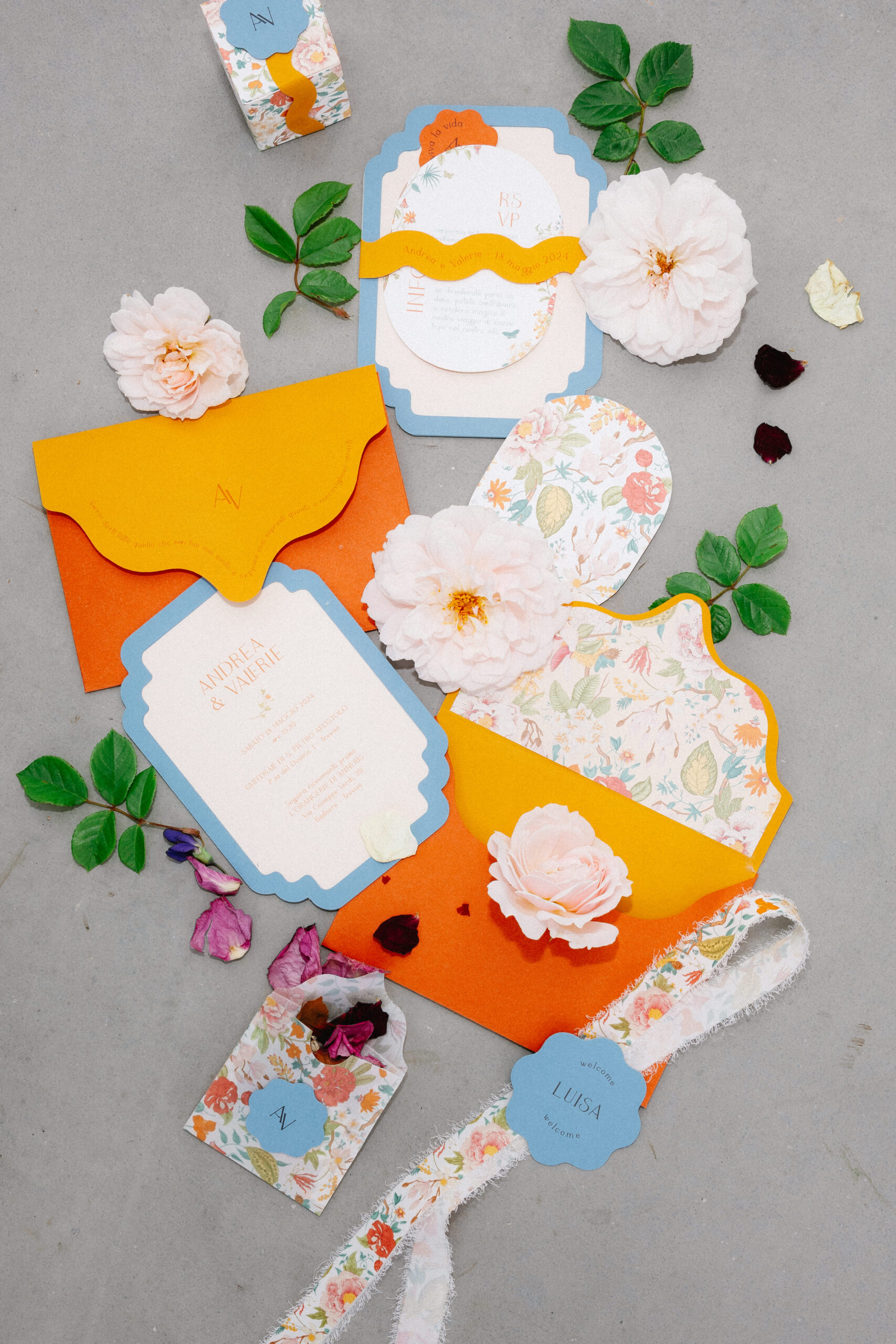 Materiali del progetto di branding Rosita